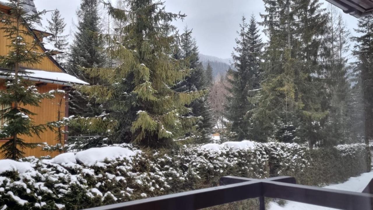 Apart4You Apartamenty Bulwary25 Zakopane Luaran gambar