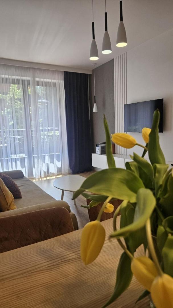 Apart4You Apartamenty Bulwary25 Zakopane Bilik gambar